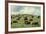 Hereford Cattle Grazing on Hill-James Randklev-Framed Photographic Print