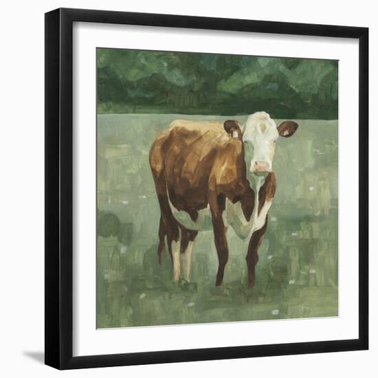 Hereford Cattle I-Emma Scarvey-Framed Art Print