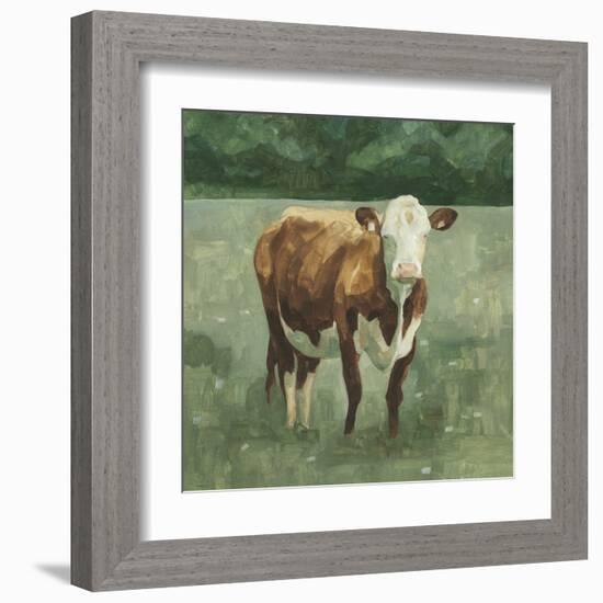 Hereford Cattle I-Emma Scarvey-Framed Art Print