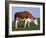 Hereford Cow Grazing on Hillside, Chalk Farm, Willingdon, East Sussex, England-Ian Griffiths-Framed Photographic Print