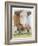 Hereford-Barbara Keith-Framed Giclee Print