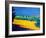 Hereford-Paul Powis-Framed Giclee Print