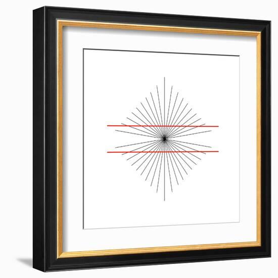 Hering Illusion-Science Photo Library-Framed Premium Photographic Print