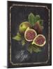 Heritage Figs-Chad Barrett-Mounted Art Print