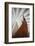 Heritage Hejmkomstviking Ship Replica, Moorhead, Minnesota, USA-Walter Bibikow-Framed Photographic Print