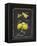 Heritage Lemons-Chad Barrett-Framed Stretched Canvas