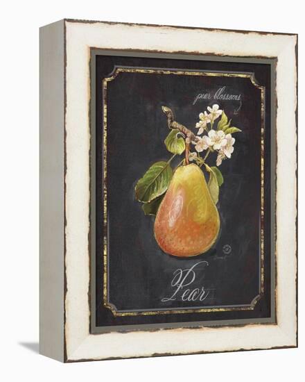 Heritage Pear-Chad Barrett-Framed Stretched Canvas