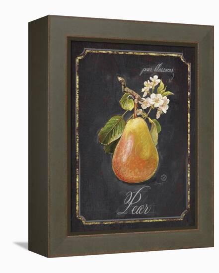 Heritage Pear-Chad Barrett-Framed Stretched Canvas