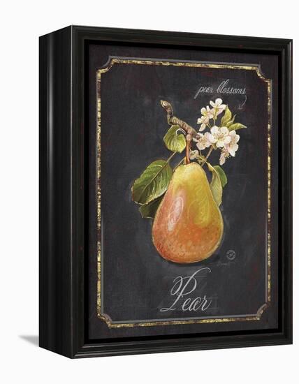 Heritage Pear-Chad Barrett-Framed Stretched Canvas