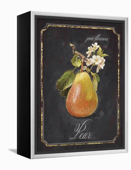 Heritage Pear-Chad Barrett-Framed Stretched Canvas