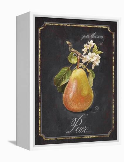 Heritage Pear-Chad Barrett-Framed Stretched Canvas