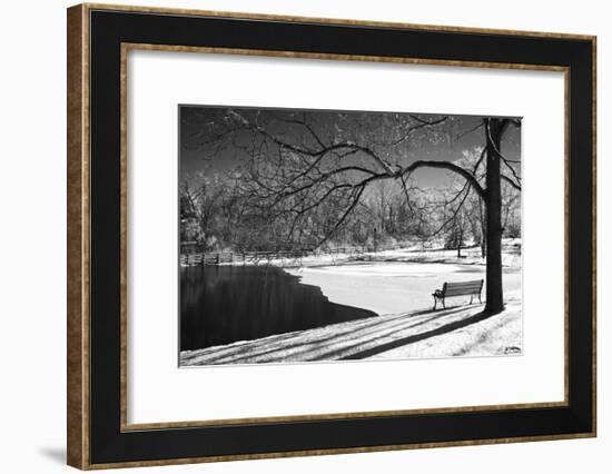 Heritage Pond in Winter-Monte Nagler-Framed Giclee Print