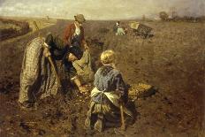 The Potato Harvest-Herman Hartwich-Premier Image Canvas