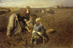 The Potato Harvest-Herman Hartwich-Premier Image Canvas