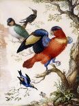 Four Birds in Wood-Herman Henstenburgh-Mounted Giclee Print