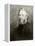 Herman Melville-American School-Framed Premier Image Canvas