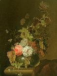 Flower Study-Herman van der Myn-Mounted Giclee Print