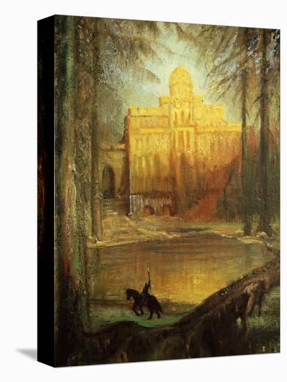Stretched Canvas Print, , large