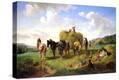 Stretched Canvas Print