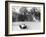 Hermann Muller in an Auto Union, German Mountain Grand Prix, Grossglockner, Austria, 1939-null-Framed Photographic Print