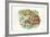 HermannS Tortoises Testudo Hermanni Eating-null-Framed Giclee Print