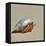 Hermit Crab on a Beach at Maldives-haveseen-Framed Premier Image Canvas