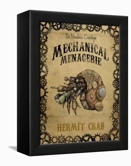 Hermit Crab-Michael Murdock-Framed Premier Image Canvas