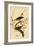 Hermit Thrush-John James Audubon-Framed Art Print