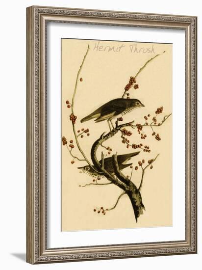 Hermit Thrush-John James Audubon-Framed Art Print