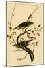 Hermit Thrush-John James Audubon-Mounted Art Print