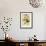 Hermit Wood Warbler-John James Audubon-Framed Art Print displayed on a wall