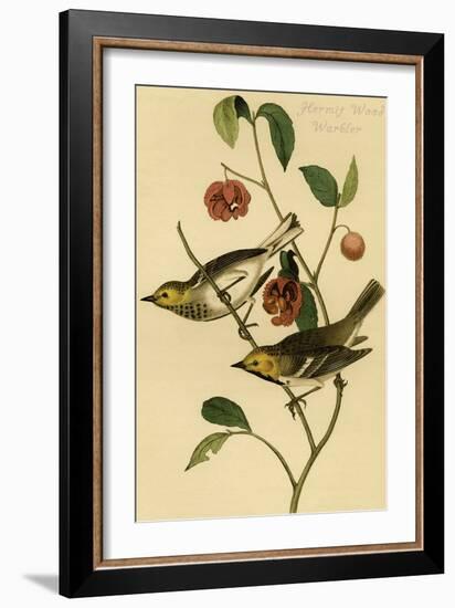 Hermit Wood Warbler-John James Audubon-Framed Art Print