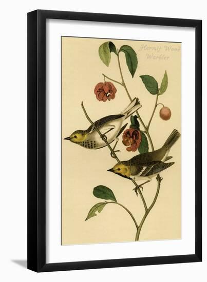 Hermit Wood Warbler-John James Audubon-Framed Art Print