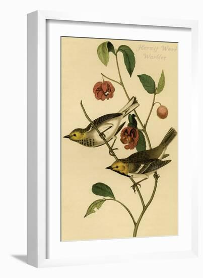 Hermit Wood Warbler-John James Audubon-Framed Art Print