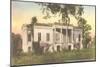 Hermitage Plantation, Savannah, Georgia-null-Mounted Art Print