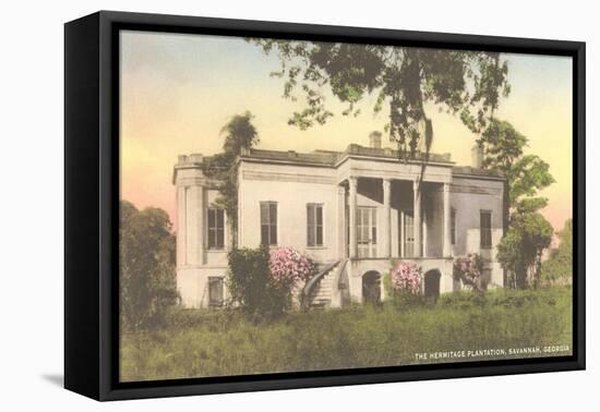 Hermitage Plantation, Savannah, Georgia-null-Framed Stretched Canvas