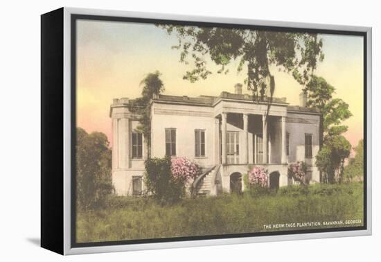Hermitage Plantation, Savannah, Georgia-null-Framed Stretched Canvas