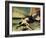 Hero and Leander-William Etty-Framed Giclee Print