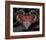 Hero Heart I-Alan Hopfensperger-Framed Art Print