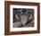 Hero Heart II-Alan Hopfensperger-Framed Premium Giclee Print