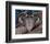 Hero Heart II-Alan Hopfensperger-Framed Premium Giclee Print