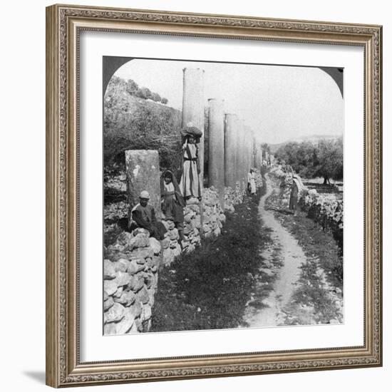 Herod's Street of Columns, Samaria, Palestine (Israe), 1905-Underwood & Underwood-Framed Photographic Print