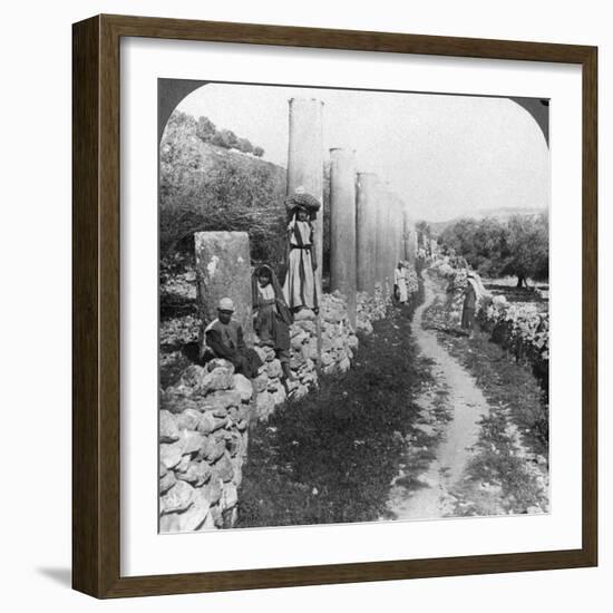 Herod's Street of Columns, Samaria, Palestine (Israe), 1905-Underwood & Underwood-Framed Photographic Print