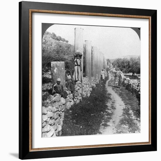 Herod's Street of Columns, Samaria, Palestine (Israe), 1905-Underwood & Underwood-Framed Photographic Print