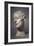 Heroic Head of Pierre De Wissant, One of the Burghers of Calais, 1886 (Plaster)-Auguste Rodin-Framed Giclee Print