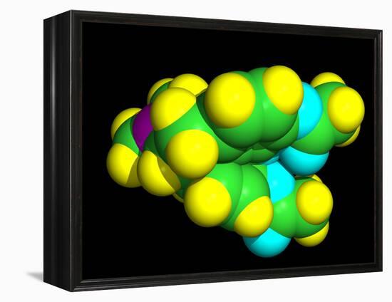 Heroin Molecule-Dr. Tim Evans-Framed Premier Image Canvas