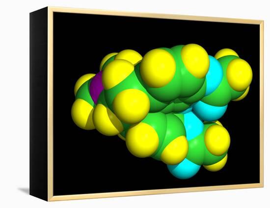 Heroin Molecule-Dr. Tim Evans-Framed Premier Image Canvas