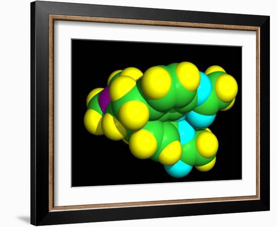 Heroin Molecule-Dr. Tim Evans-Framed Photographic Print