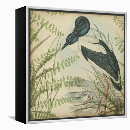 Heron and Ferns I-Vision Studio-Framed Stretched Canvas