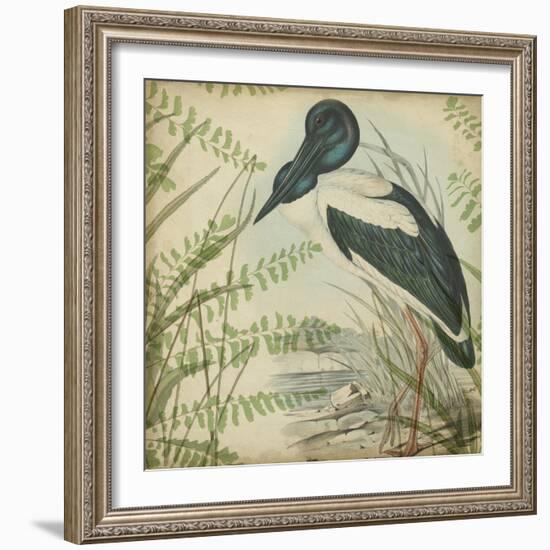 Heron and Ferns I-Vision Studio-Framed Art Print